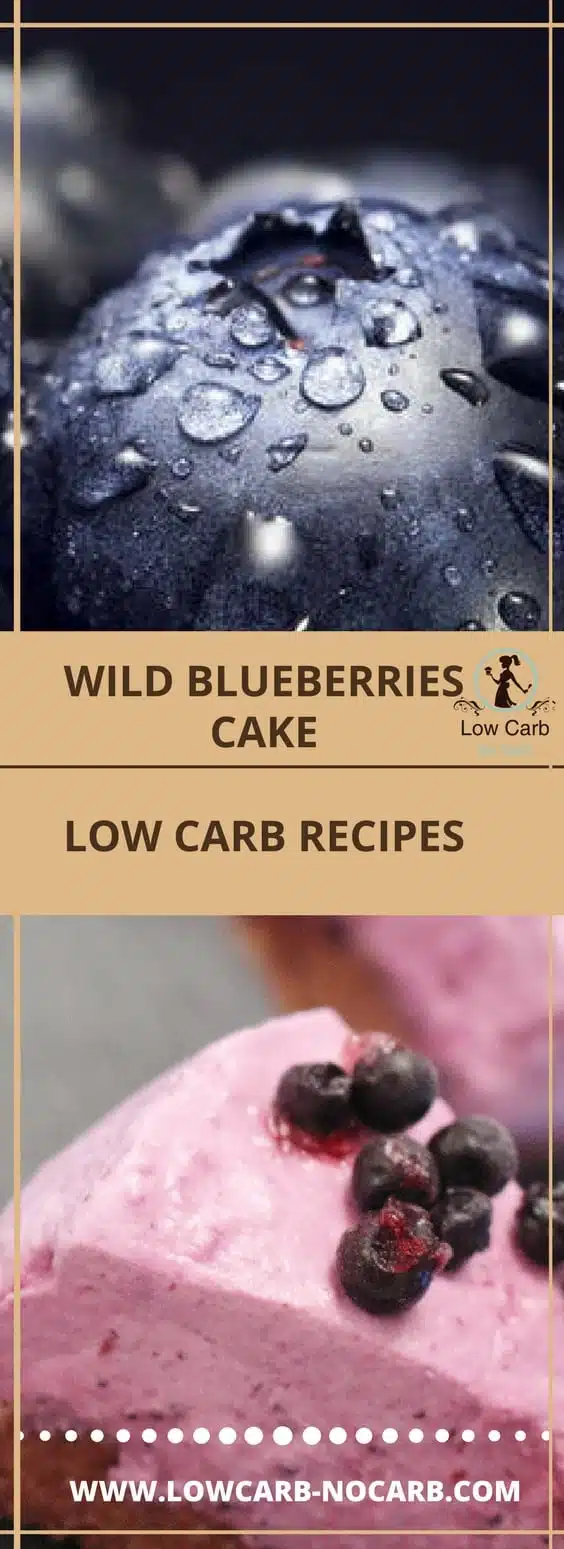 Wild Blueberries Keto Cheesecake #wild #blueberries #keto #cheesecake #lowcarb #paleo #healthy #fitfood #yummy #nobake 