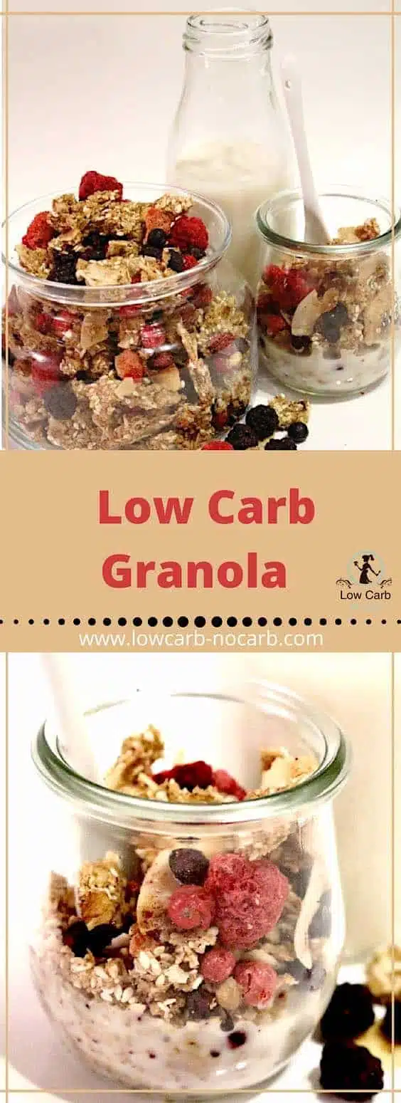 Low Carb Granola #lowcarb #granola #keto #paleo #ketokids #healthyfood #recipe #fitfood #foodblog #recipeblog