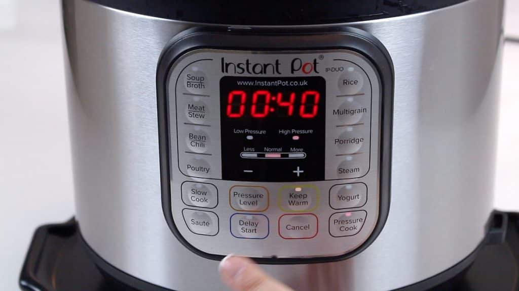 Switching the Instant Pot on