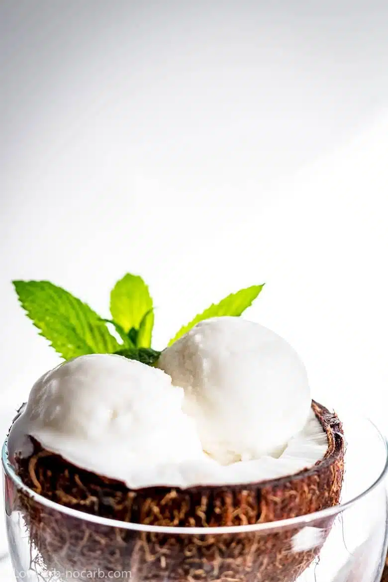 Keto Coconut Ice Cream with a mint leave
