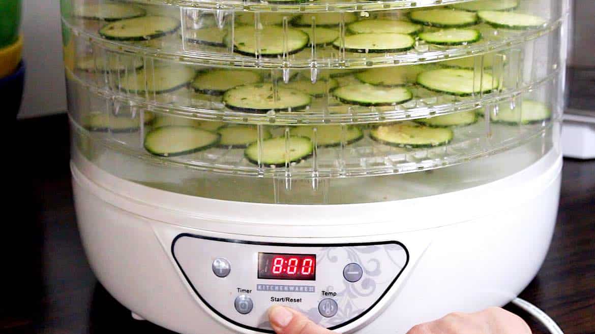 switching dehydrator on for keto chips