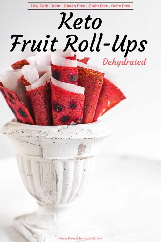 Dehydrated Homemade Fruit Rollups