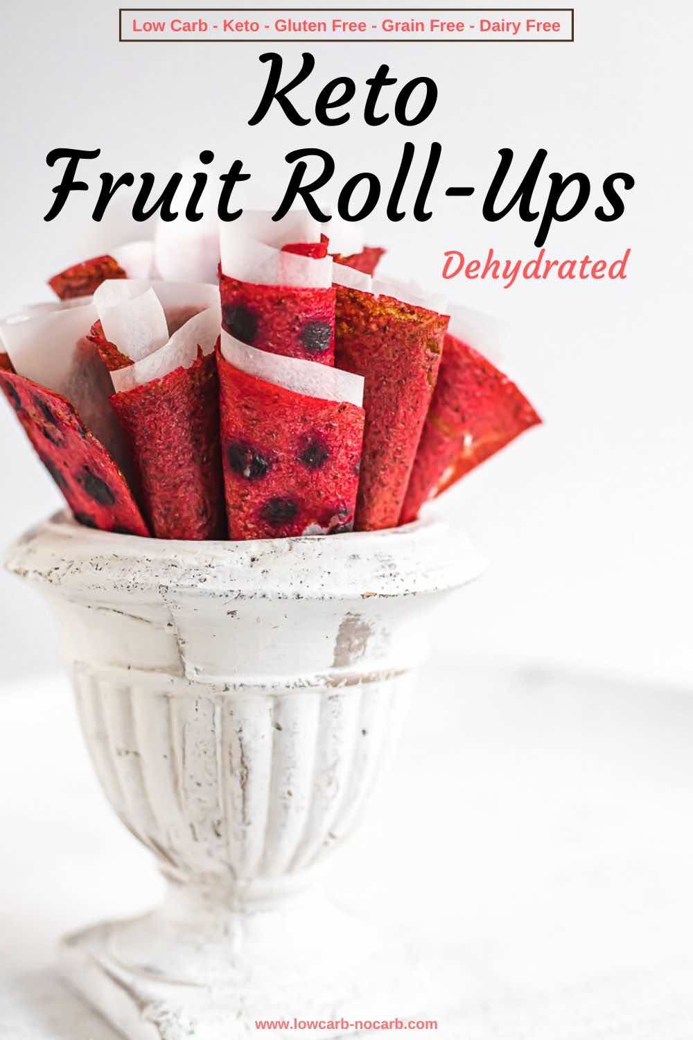 Dehydrated Homemade Fruit Rollups