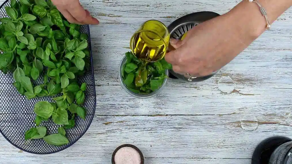 Keto Recipes adding olive oil to basil leaves for basil pesto making