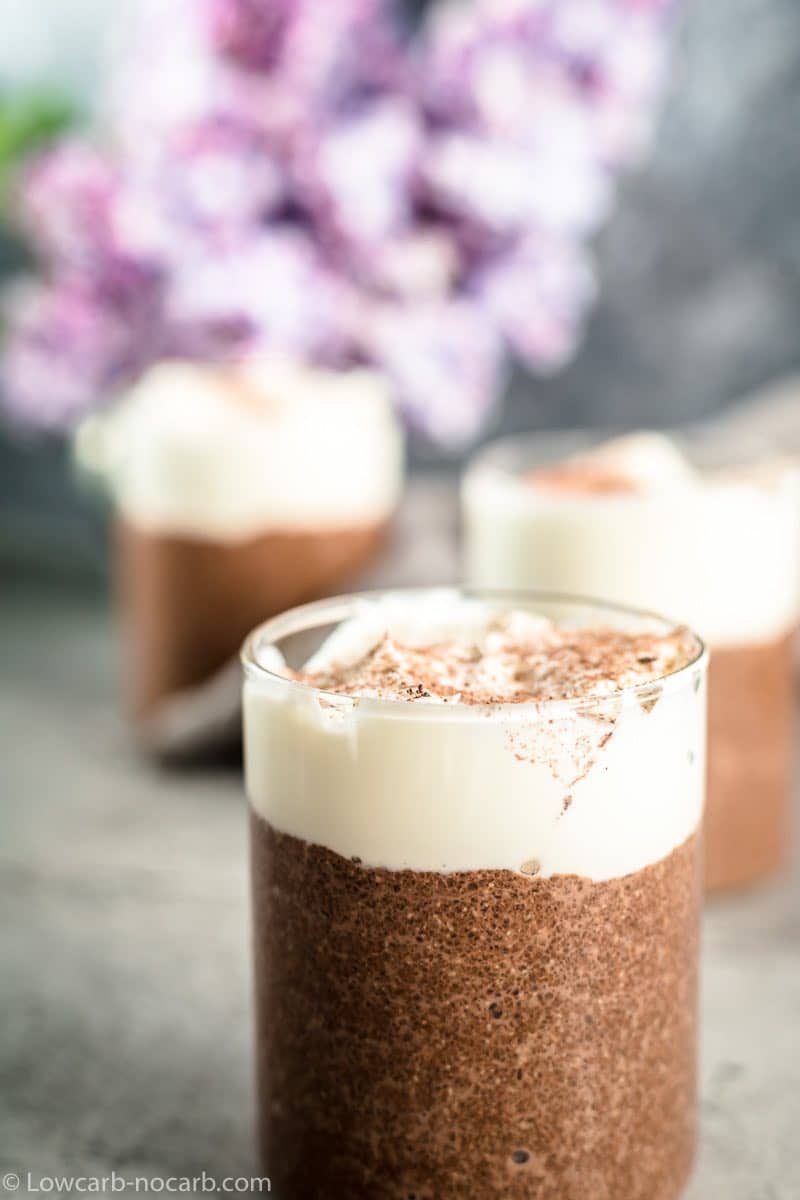 Super quick Chia seeds pudding with yogurt and cocoa