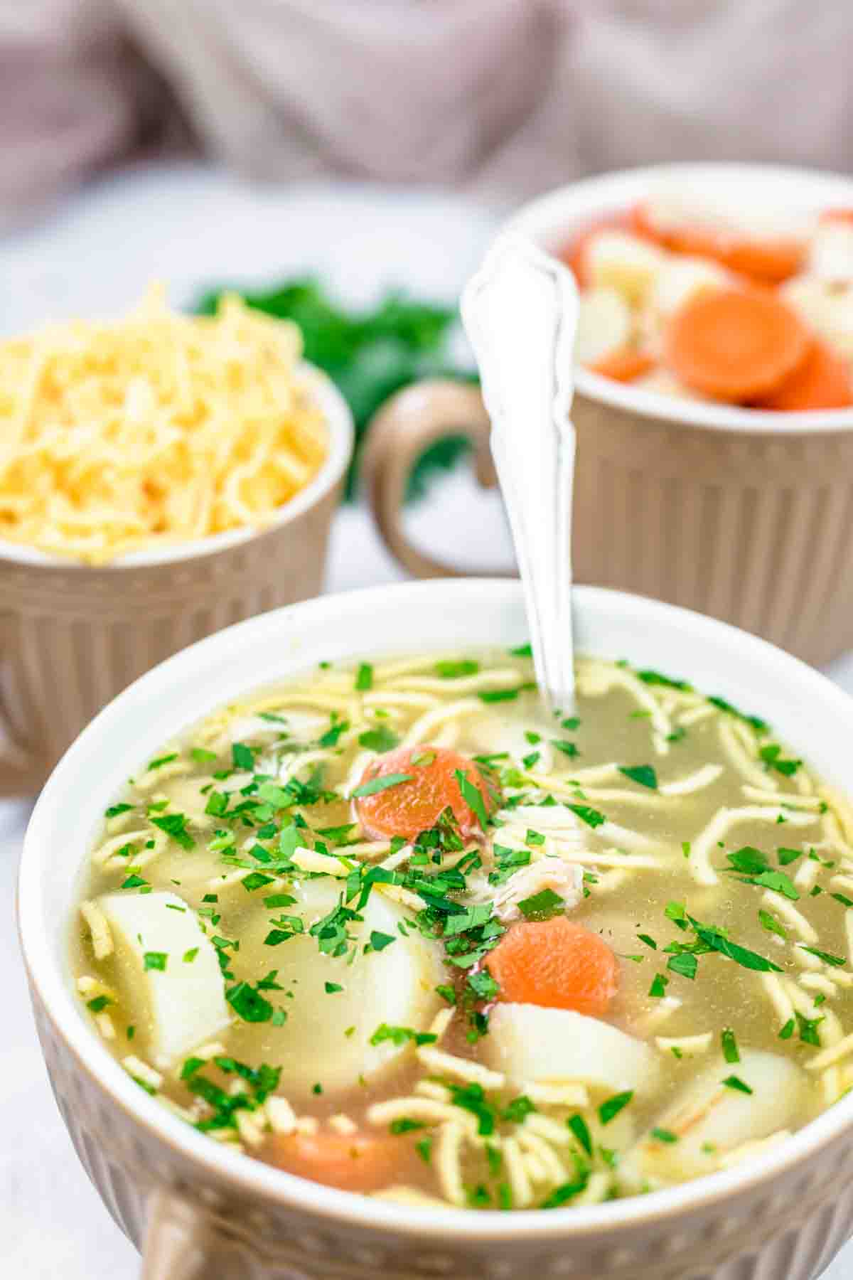 Chicken Soup with Noodles in a bowl