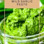 Recipe Wild Garlic Pesto in a mason jar