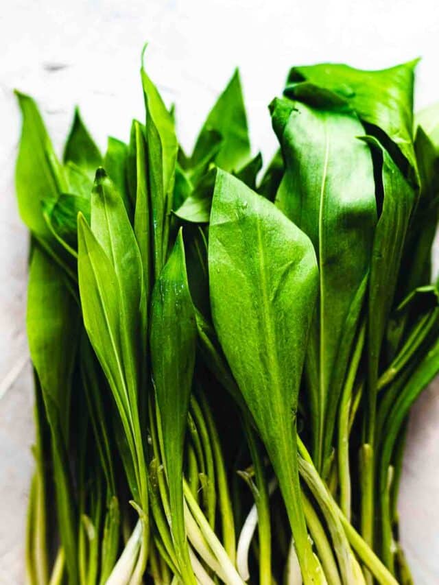 cropped-Wild-garlic-Chips-25.jpg