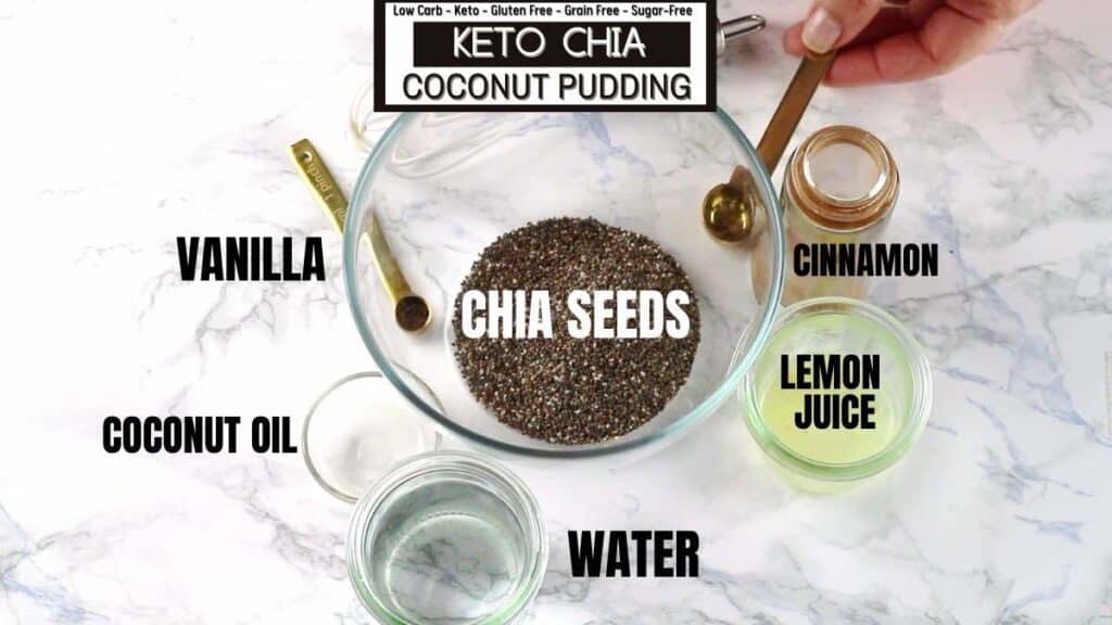 Chia Seed Pudding Coconut Ingredients needed.