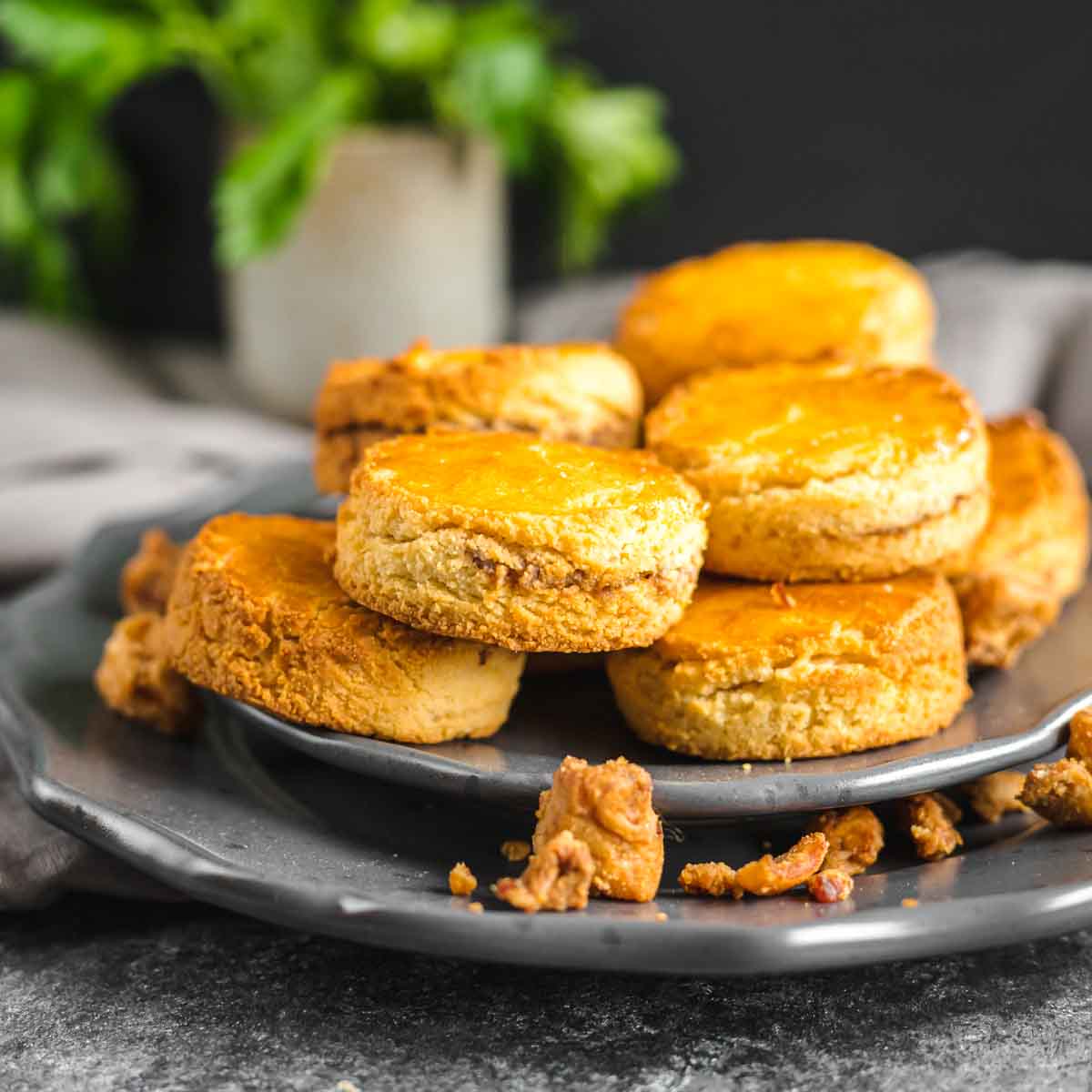 Low Carb Biscuits served on a grey plates.