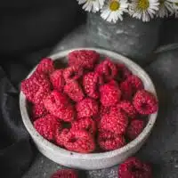 Dehydrated Raspberries on a stone plate.