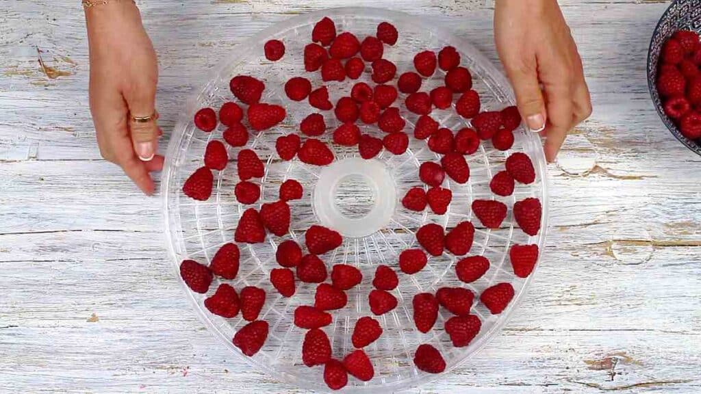 Dehyderated Raspberry How To Dehydrate Raspberries - Low Carb No Carb