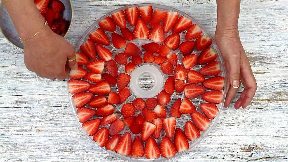How To Dehydrate Strawberries layered on a dehydrator rack.