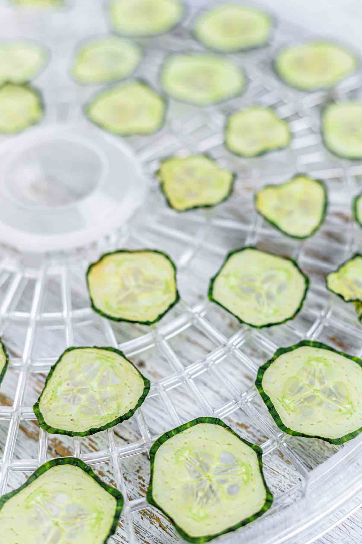 Cucumber Chips Recipe slices on a dehydrator tray.