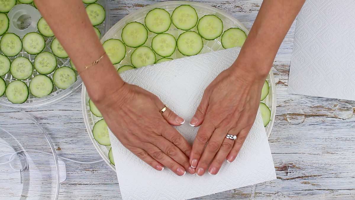 Dehydrated Cucumber Chips towel drying slices.