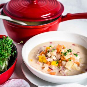 homemade whey vegetable soup.