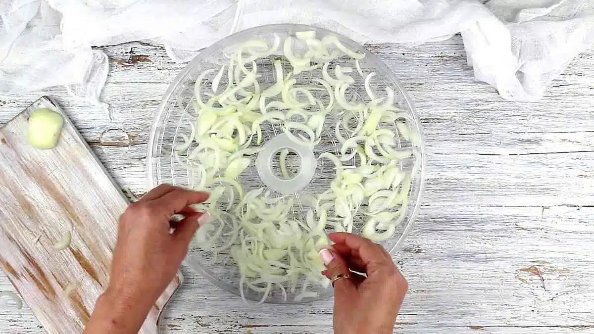 Dehydrated Onions spreading the slices onto a tray.