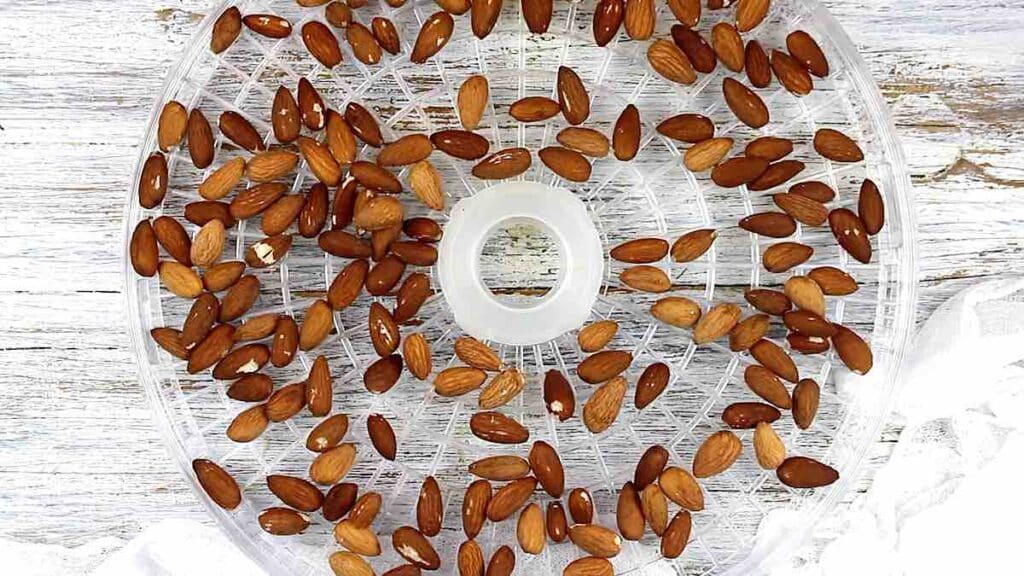 Activated Almonds or Soaked Almonds Snack - Low Carb No Carb