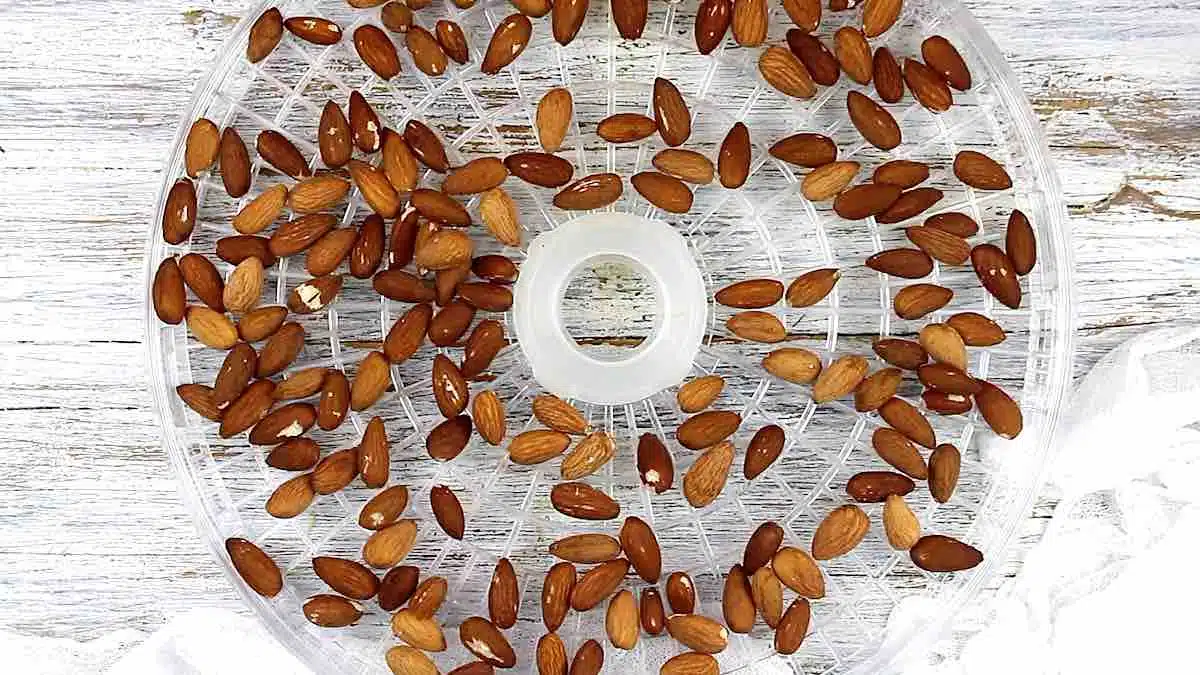 How to activate almonds dehydrated.