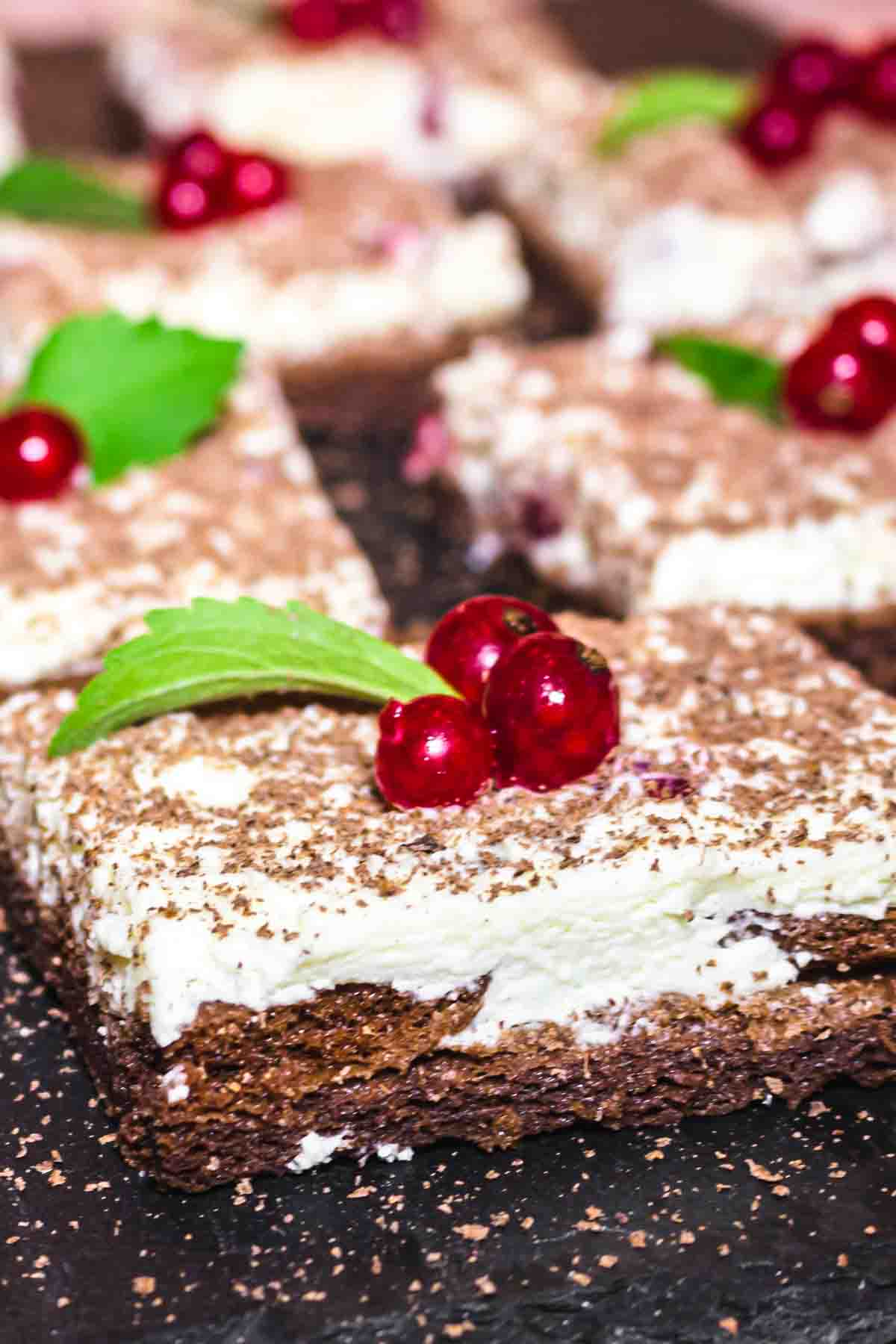 Flourless chocolate cake recipe with currant.
