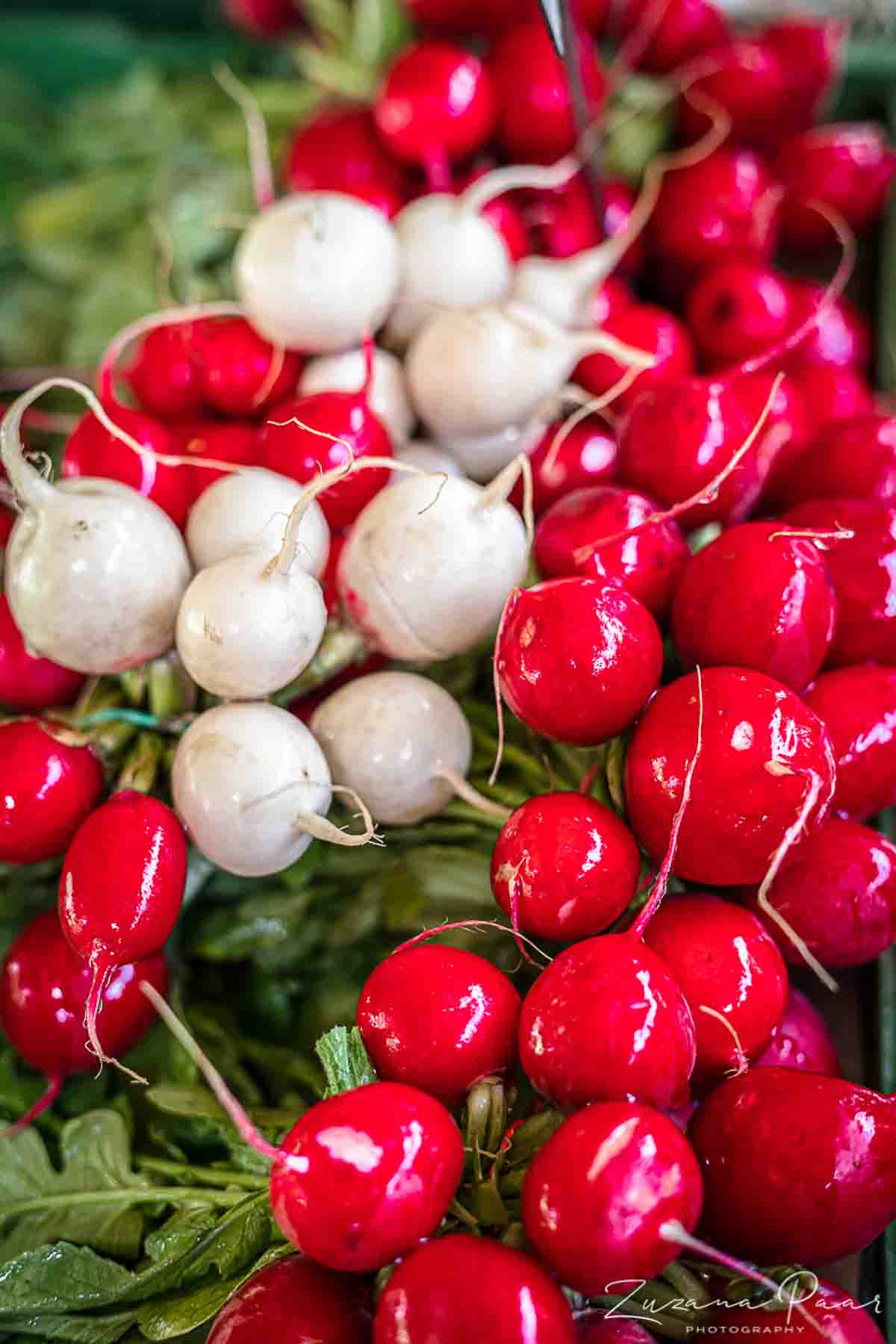 White and red Radishes.