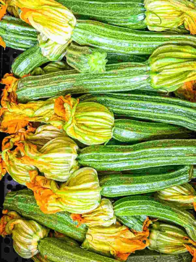 Zucchini with flowers.
