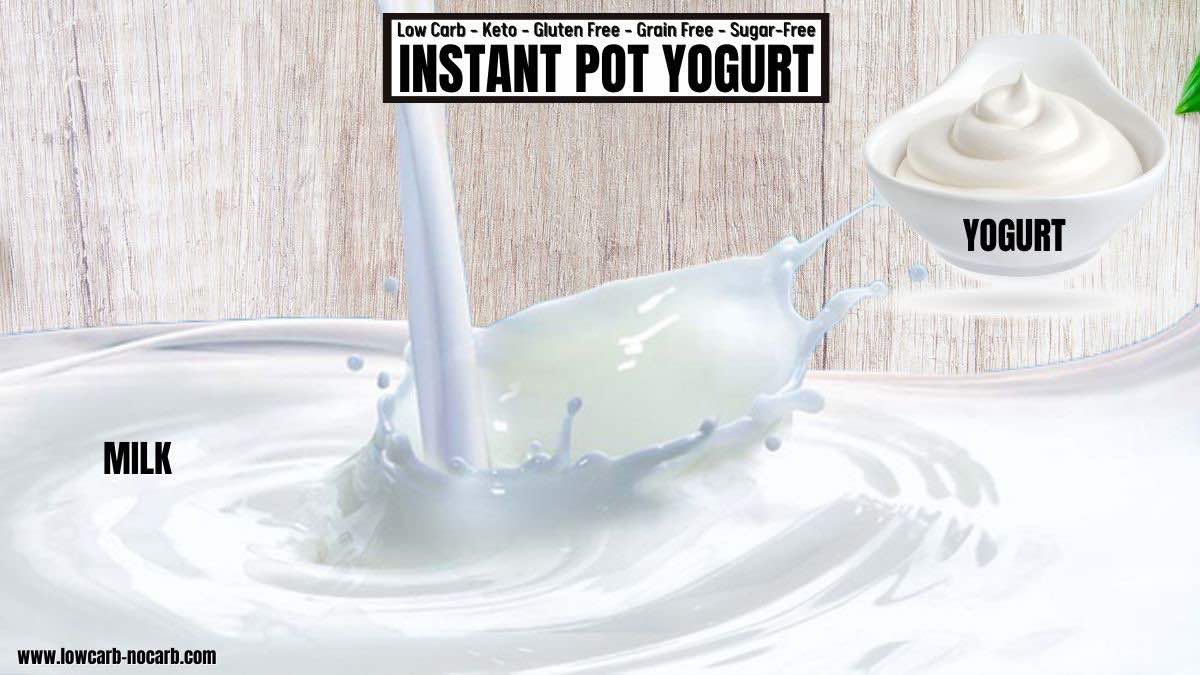 How To Make Yogurt in Instant Pot ingredients.
