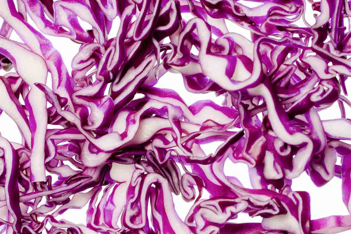 A close up of purple and white cabbage.