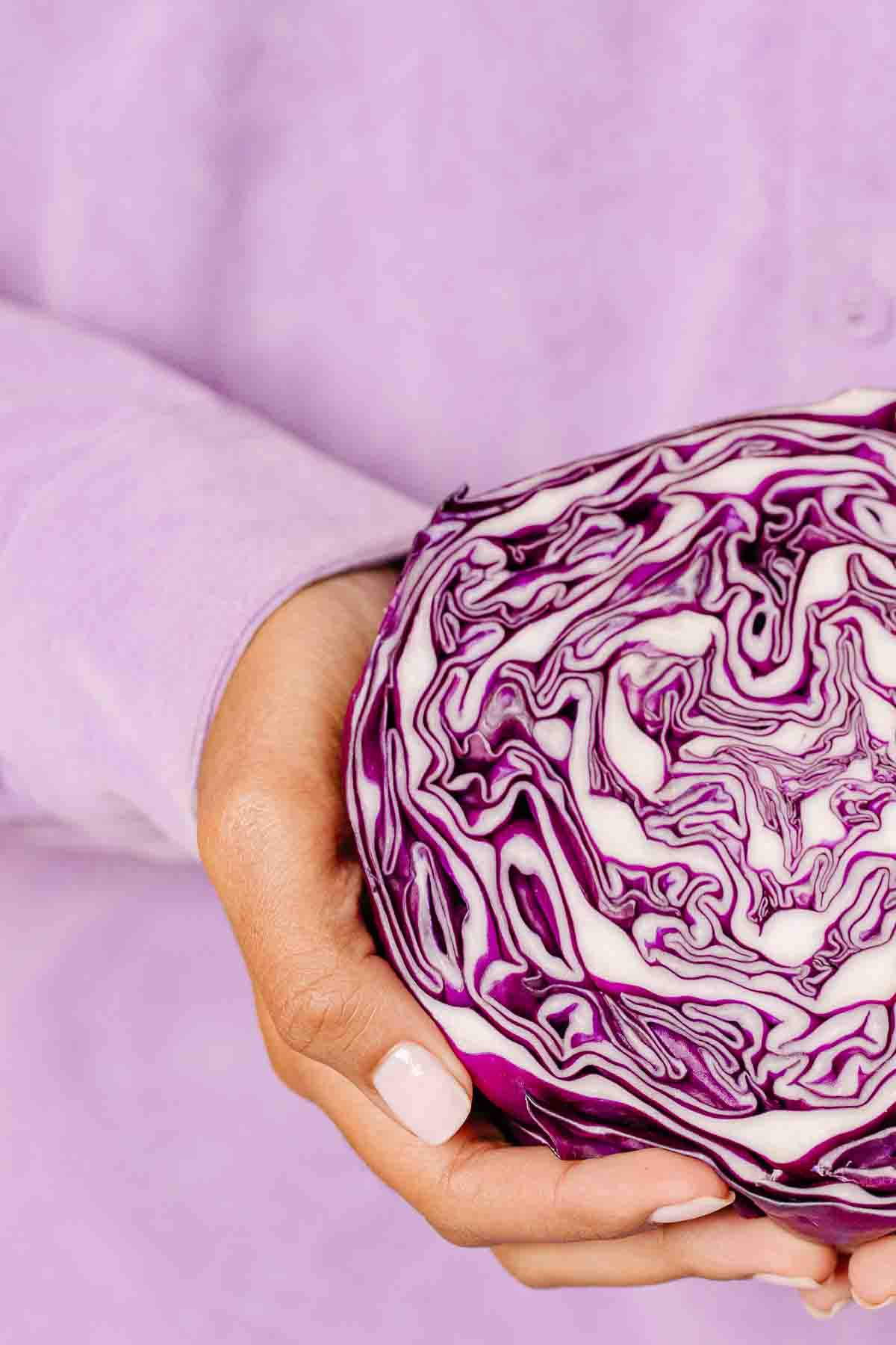 A person holding a purple cabbage.