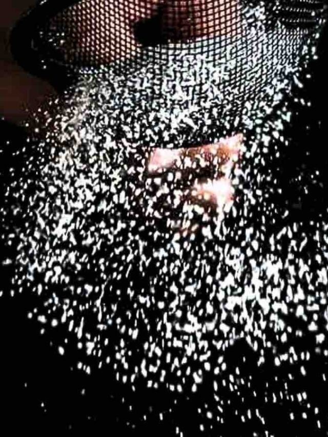 A person is holding a net with white sprinkles in it.