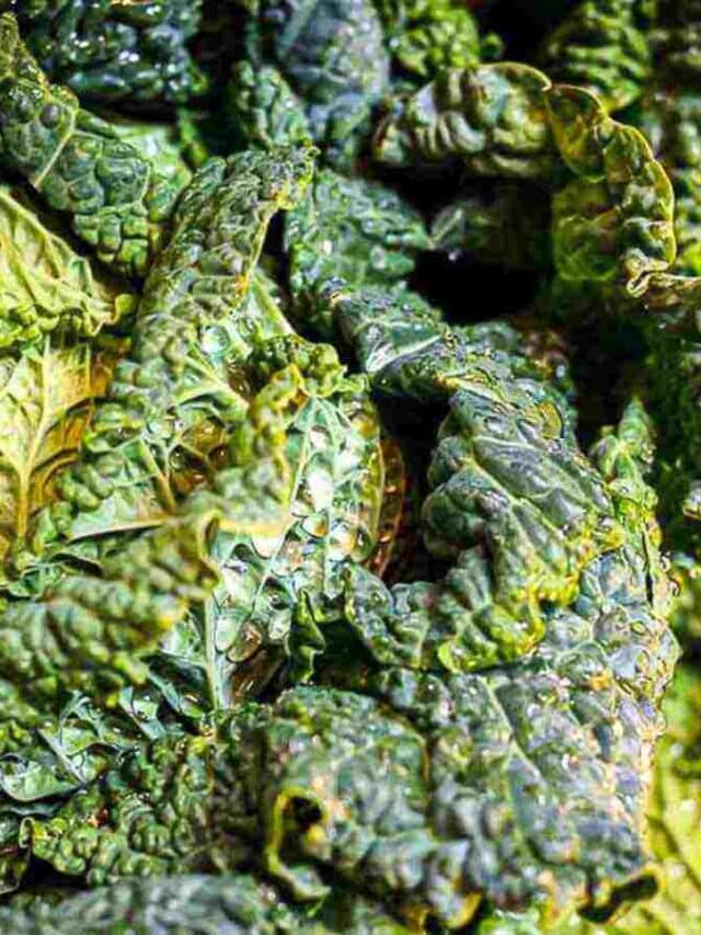 A close up of kale leaves in a bowl.