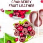 Low carb easy cranberry fruit leather.