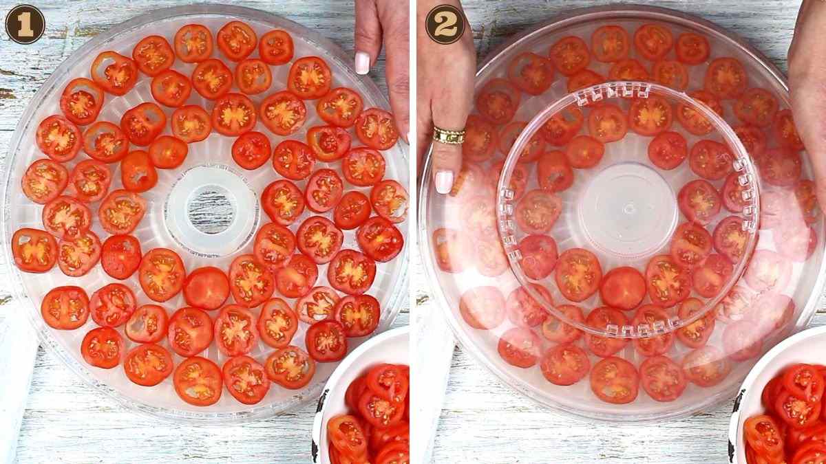 Tomato slices layered on a dehydrator tray.