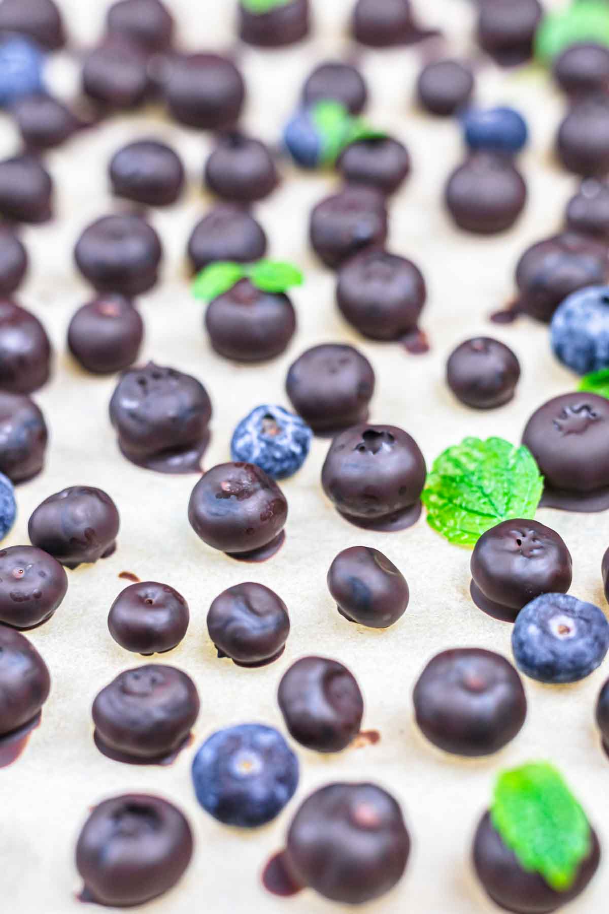 Chocolate covered blueberries with mint leaves.