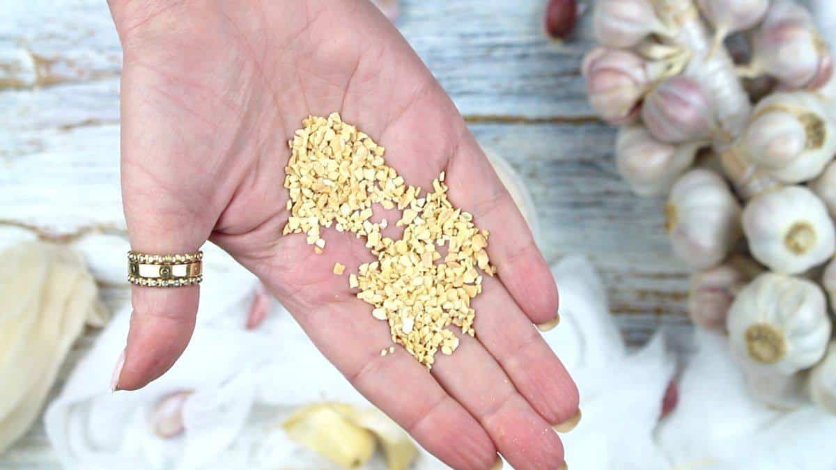 A person's hand holding a handful of granulated garlic.