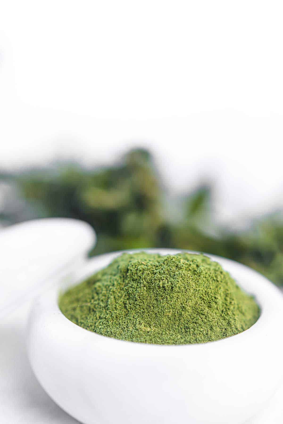 Stevia powder in a white bowl.