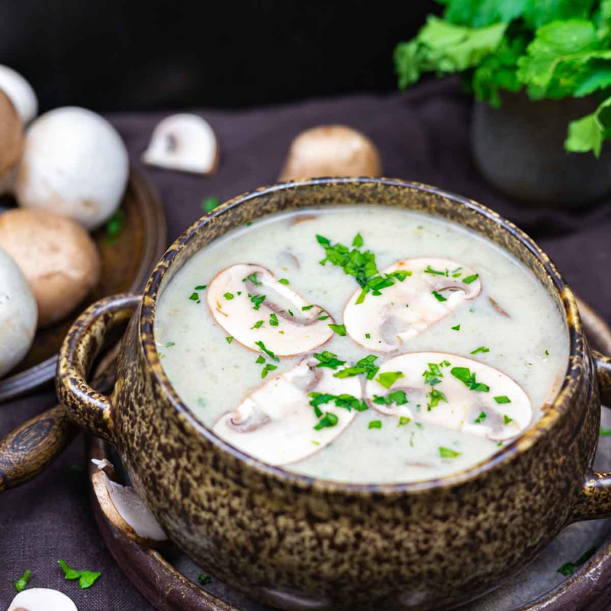 Cream of Mushroom Soup in a bowl.