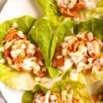 Lettuce leaves filled with shredded chicken, chopped onions, and a drizzle of creamy sauce on a white plate.